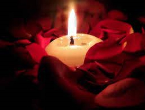 Ann Zoobkoff Obituary